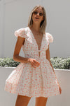 Picnic in The Park Dress