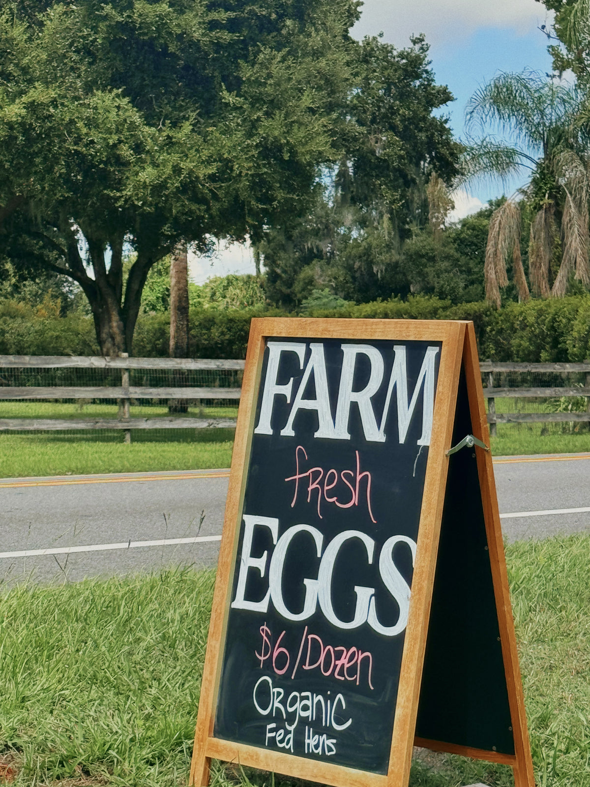 Farm Fresh Eggs