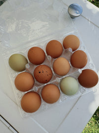 Farm Fresh Eggs