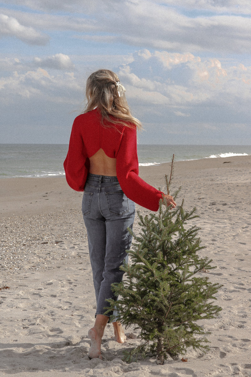 Frannie Sweater in Red