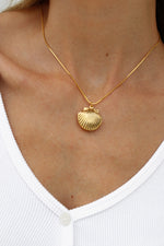 Shell Locket Necklace