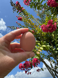 Farm Fresh Eggs