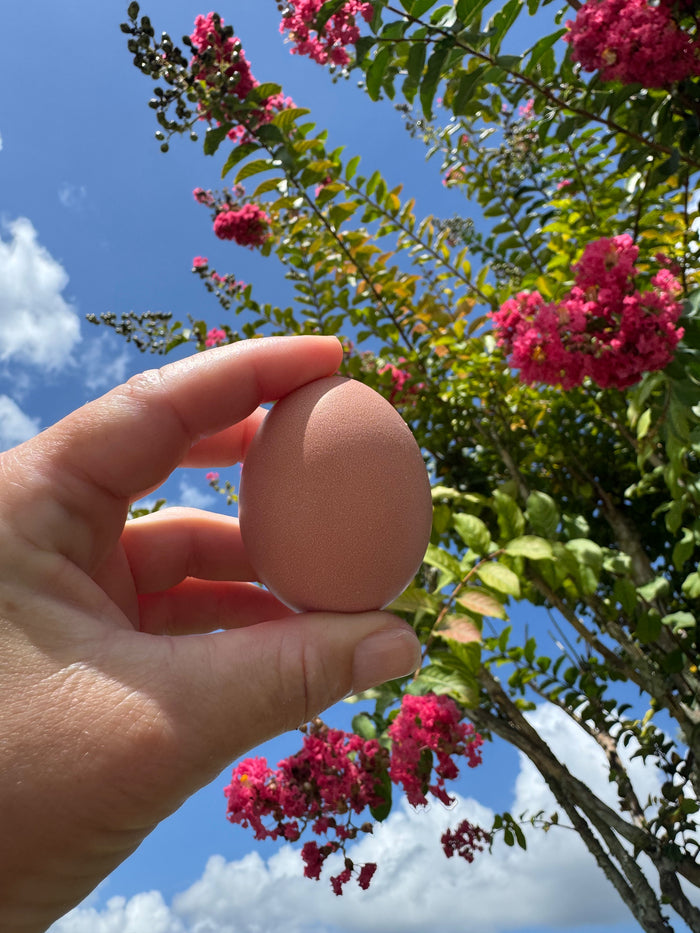 Farm Fresh Eggs